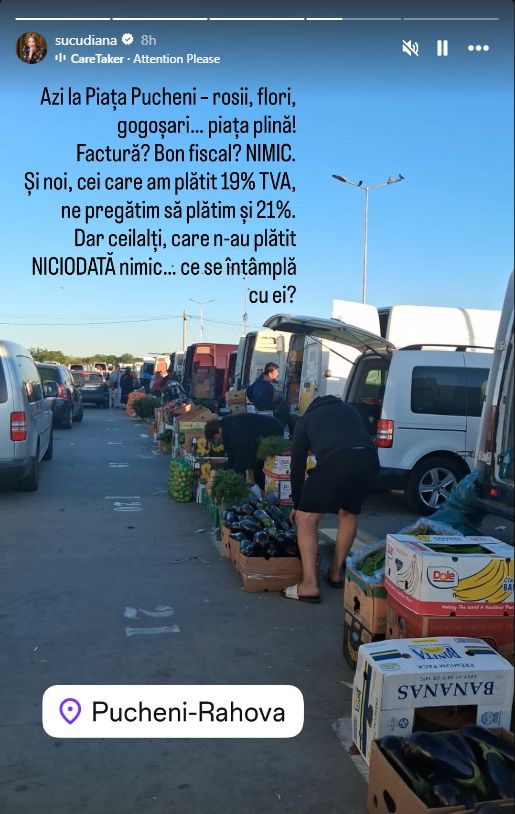 Diana Şucu acuză că, în piaţa Pucheni, comercianţii nu emit bon fiscal / InstaStory Diana Şucu
